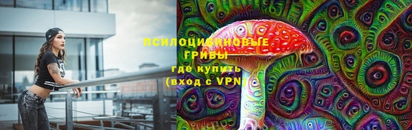 а пвп мука Козельск